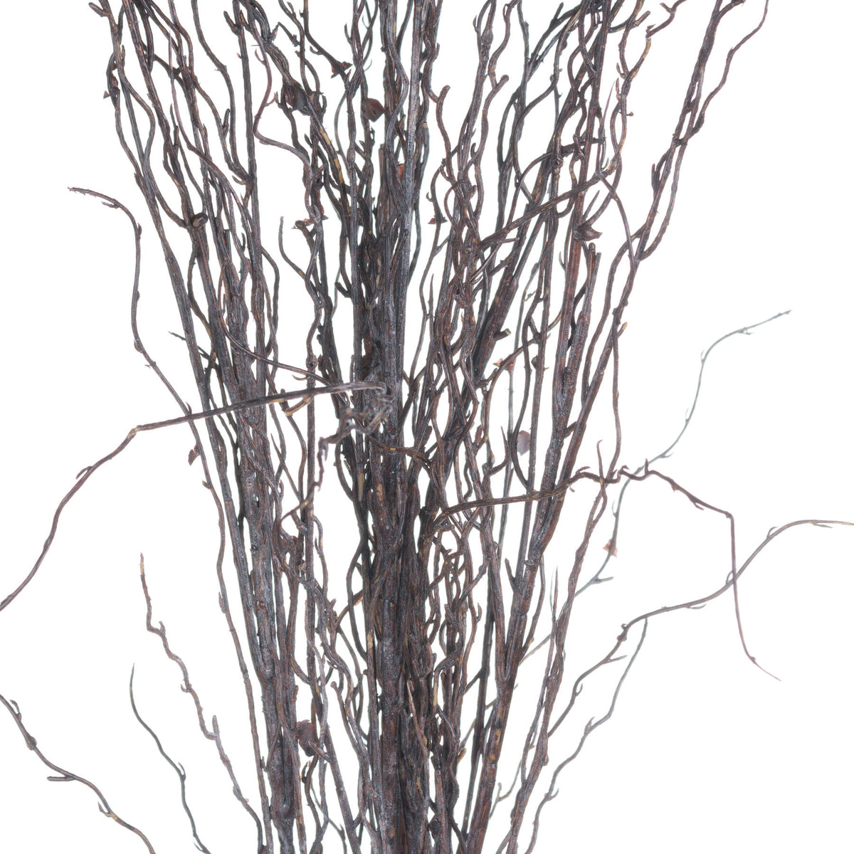 Branch Spray by Hill Interiors - image 5