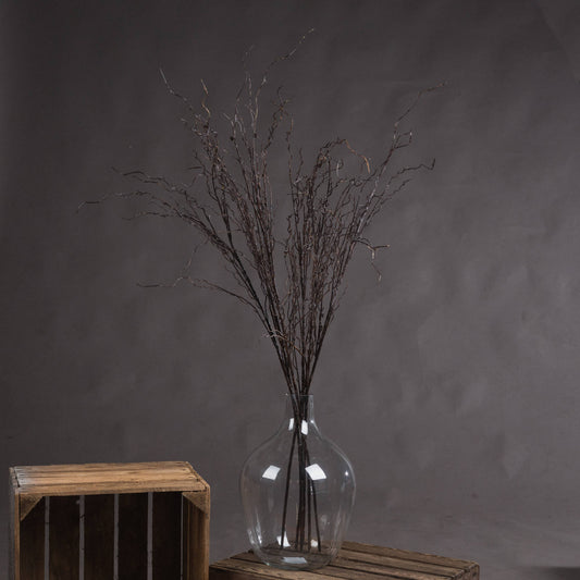 Branch Spray by Hill Interiors