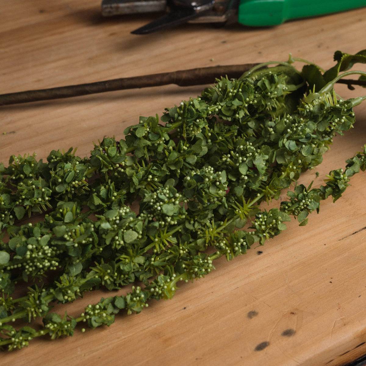 Green Amaranthus by Hill Interiors - image 3