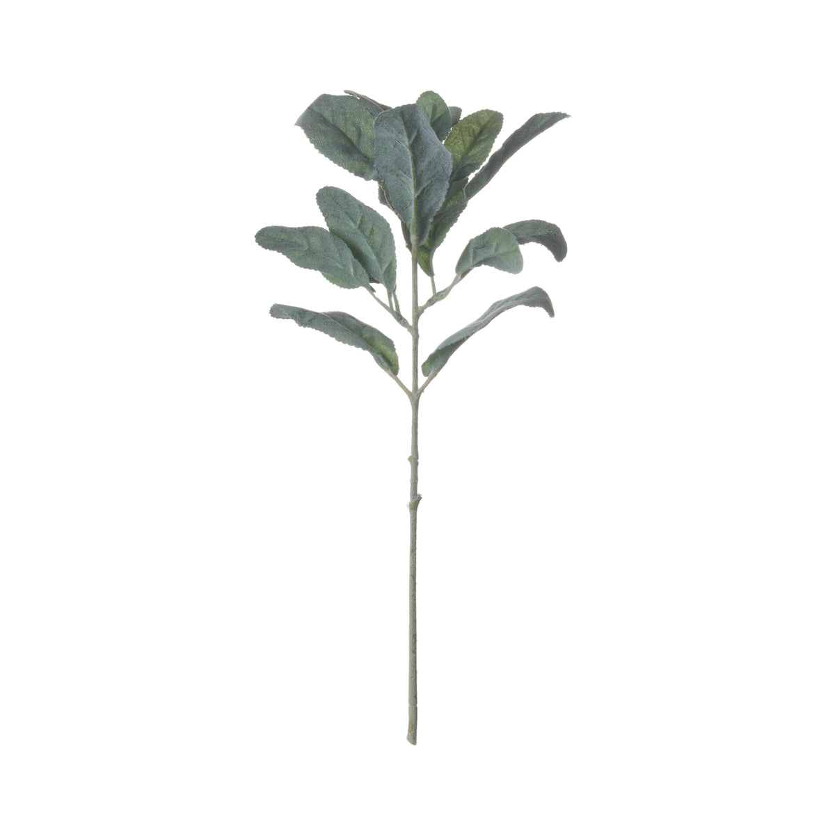 Lambs Ear Spray by Hill Interiors - image 5