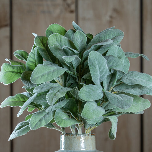 Lambs Ear Spray by Hill Interiors