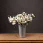 Cream Cosmos Spray by Hill Interiors