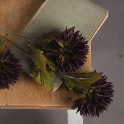 Chocolate Chrysanthemum by Hill Interiors - image 3