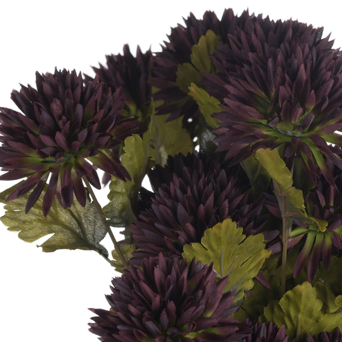 Chocolate Chrysanthemum by Hill Interiors - image 5