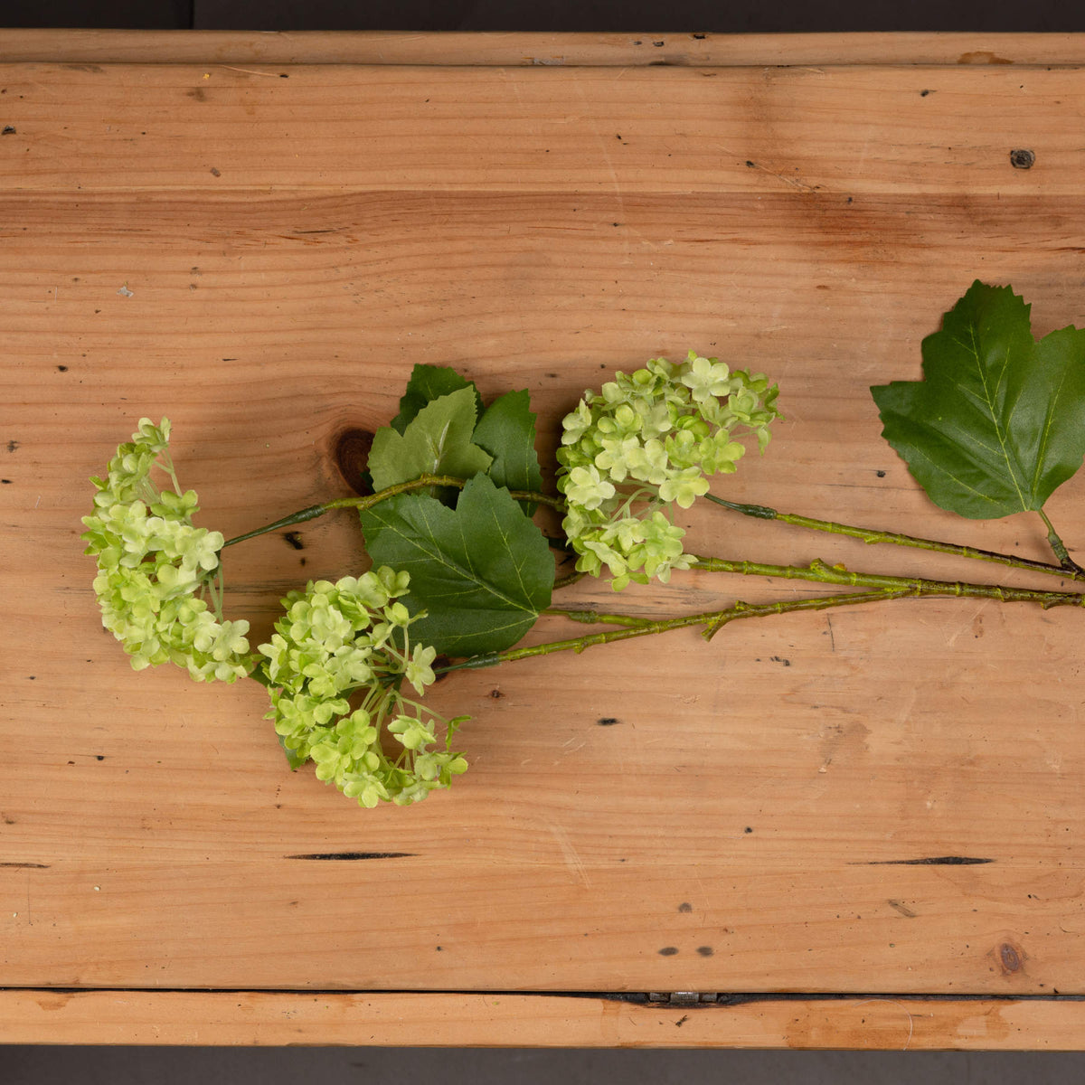Green Viburnum Spray by Hill Interiors - image 2