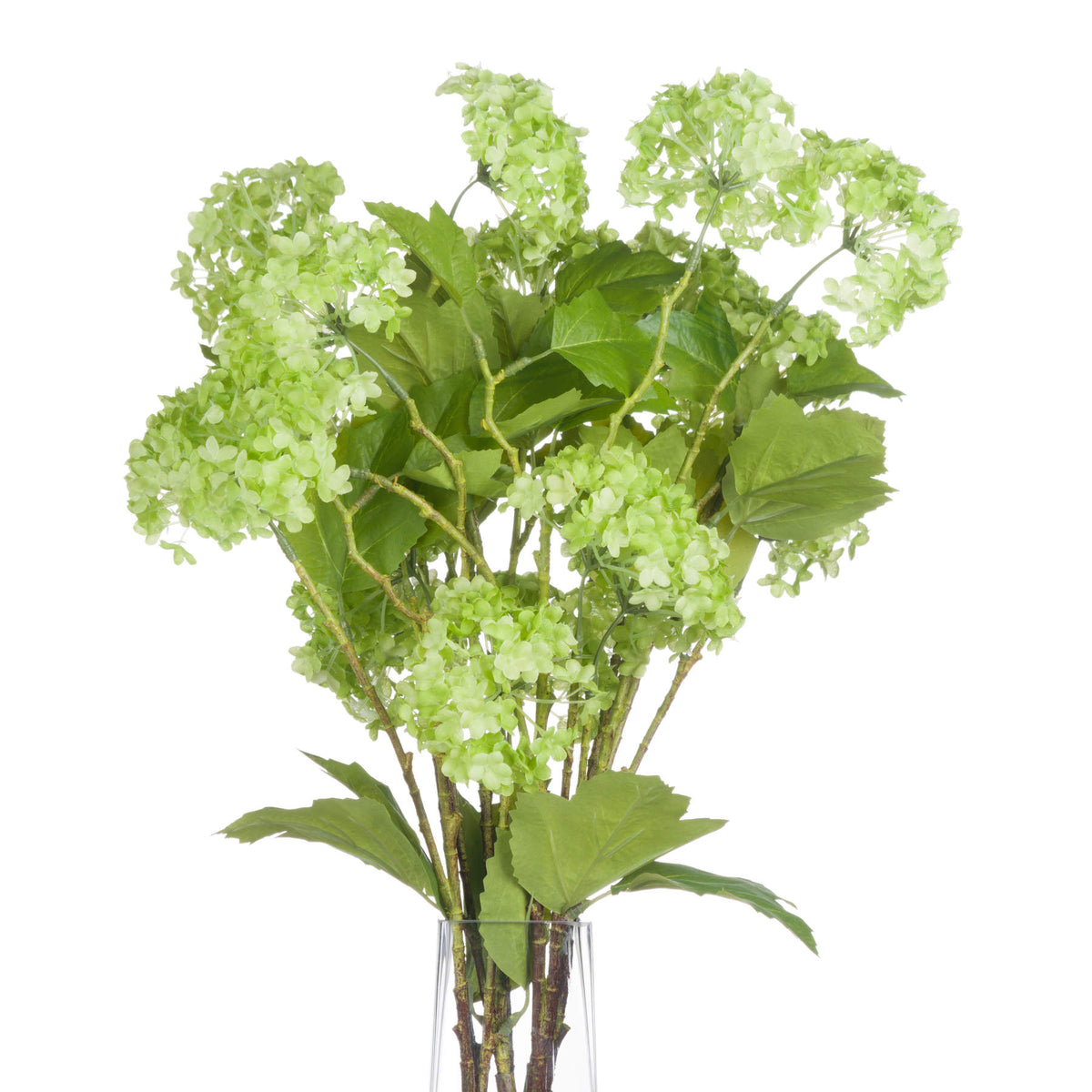 Green Viburnum Spray by Hill Interiors - image 3