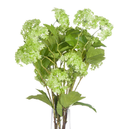 Green Viburnum Spray by Hill Interiors - image 3