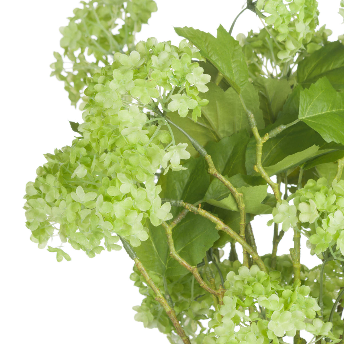 Green Viburnum Spray by Hill Interiors - image 5