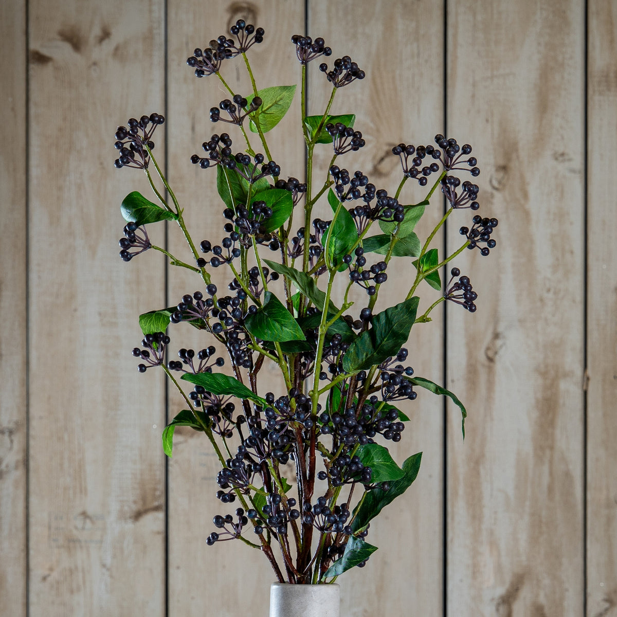 Viburnum Berry by Hill Interiors