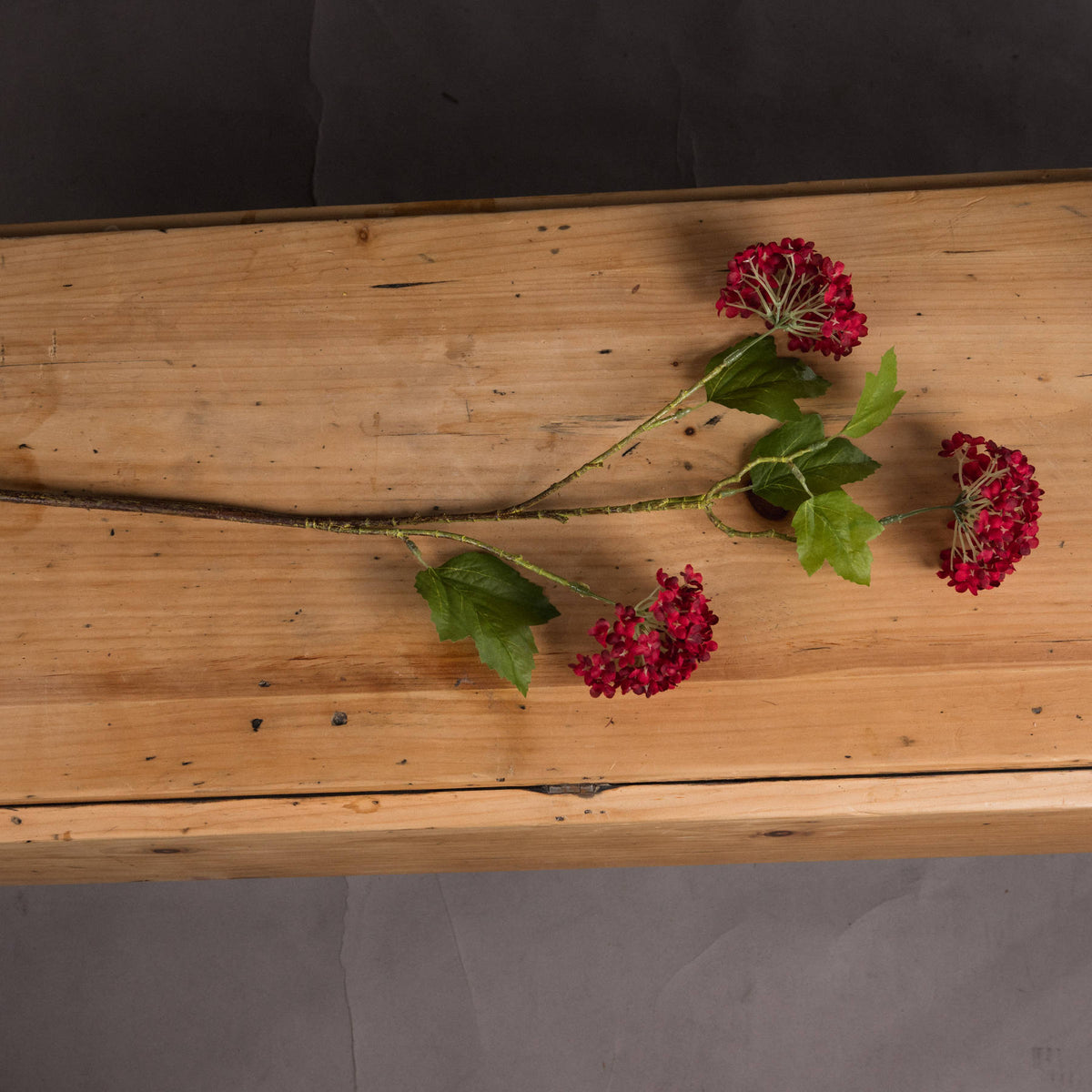 Red Autumnal Viburnum by Hill Interiors - image 2