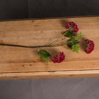 Red Autumnal Viburnum by Hill Interiors - image 2