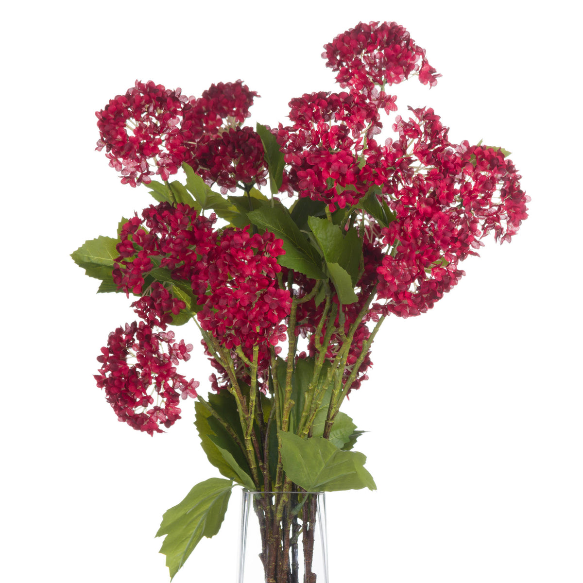 Red Autumnal Viburnum by Hill Interiors - image 4