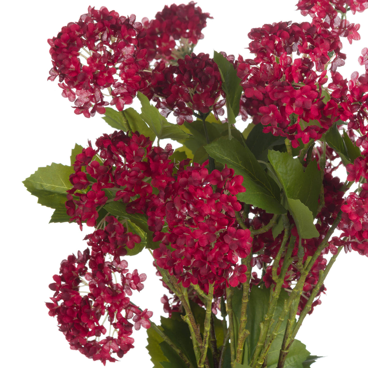 Red Autumnal Viburnum by Hill Interiors - image 5