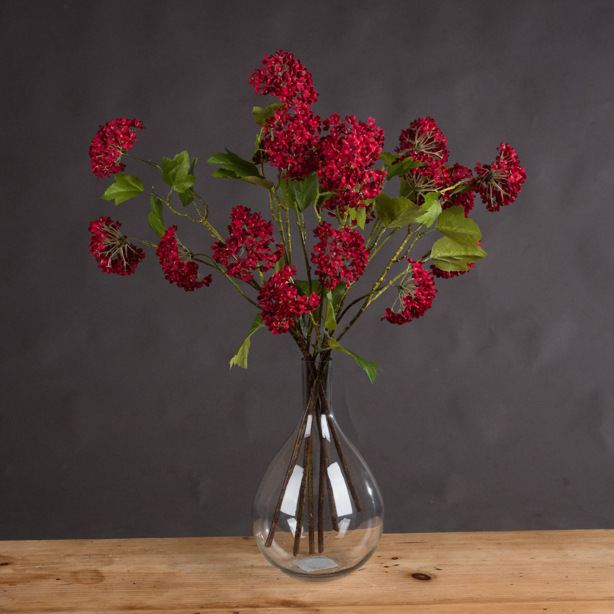 Red Autumnal Viburnum by Hill Interiors