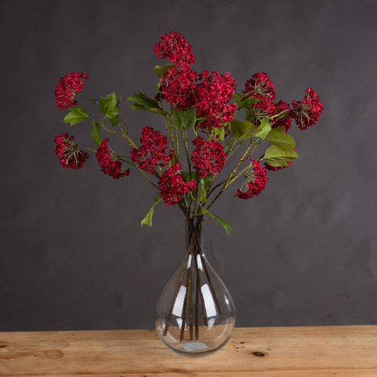 Red Autumnal Viburnum by Hill Interiors