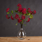 Red Autumnal Viburnum by Hill Interiors