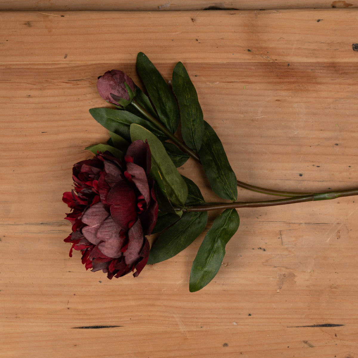 Burgundy Peony Rose by Hill Interiors - image 2