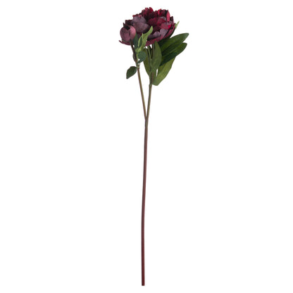 Burgundy Peony Rose by Hill Interiors - image 4