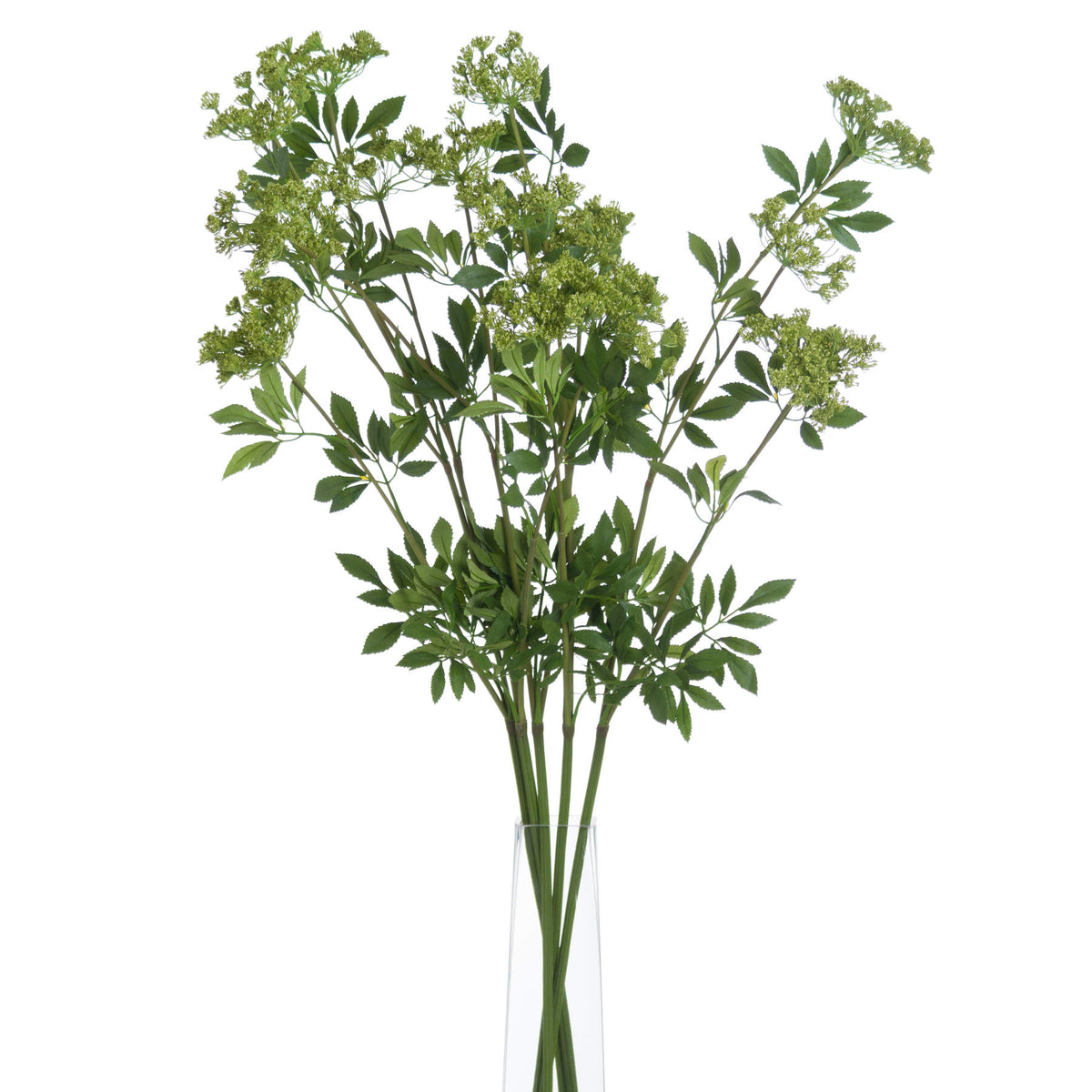 Faux Cow Parsley Ammi by Hill Interiors - image 3