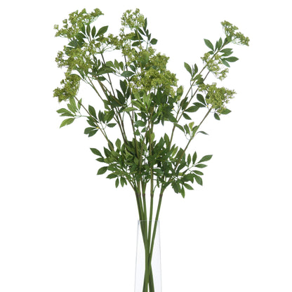 Faux Cow Parsley Ammi by Hill Interiors - image 3