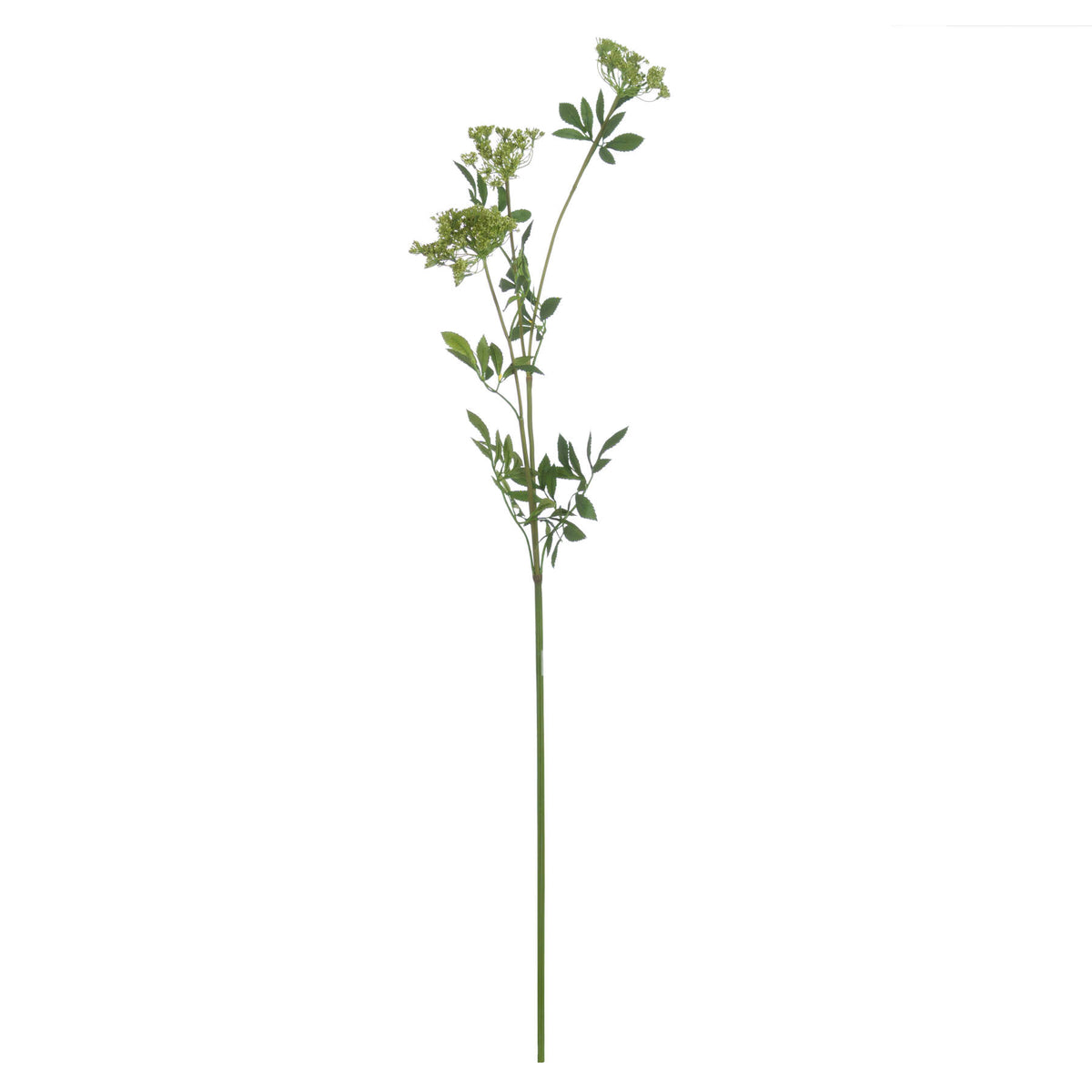 Faux Cow Parsley Ammi by Hill Interiors - image 4