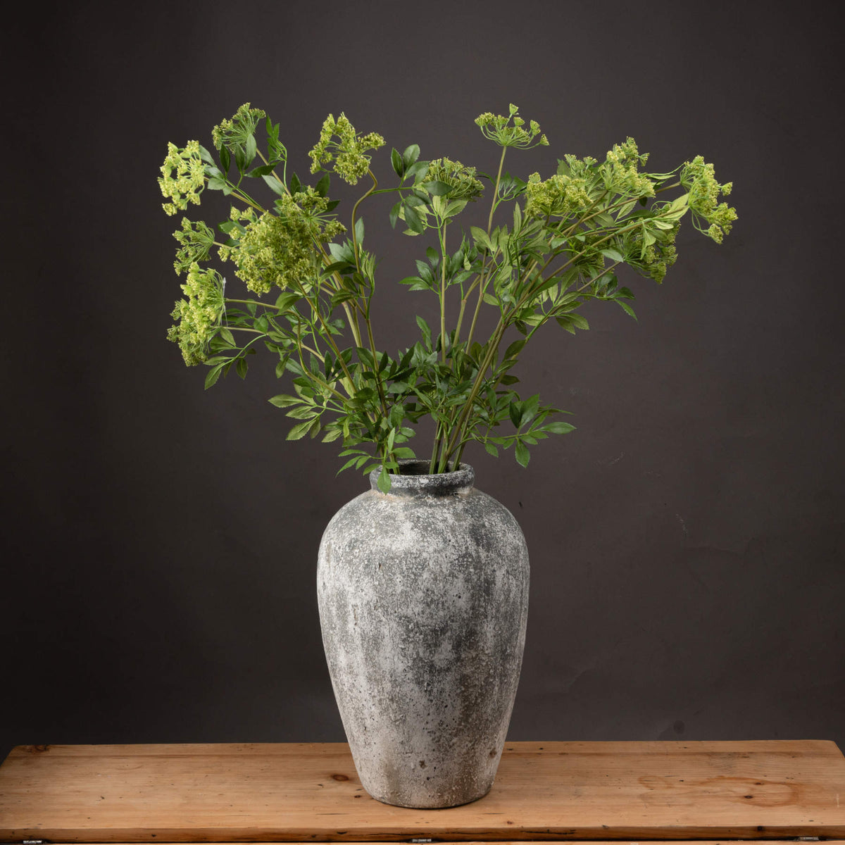 Faux Cow Parsley Ammi by Hill Interiors