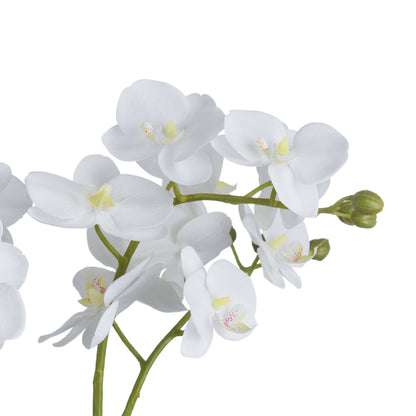 White Orchid In Glass Pot by Hill Interiors - image 3