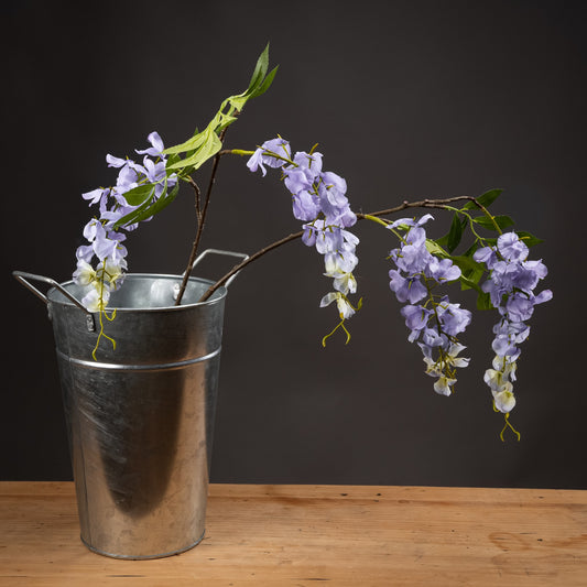 Lilac Wisteria by Hill Interiors