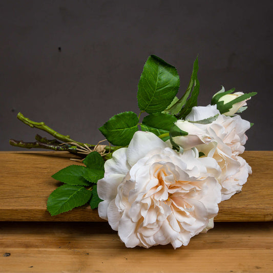 Peachy Cream Short Stem Rose Bouquet by Hill Interiors