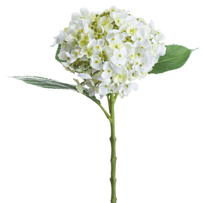 White Lace Cap Hydrangea by Hill Interiors - image 2