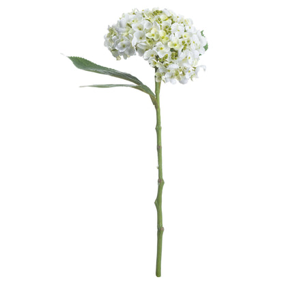 White Lace Cap Hydrangea by Hill Interiors - image 3