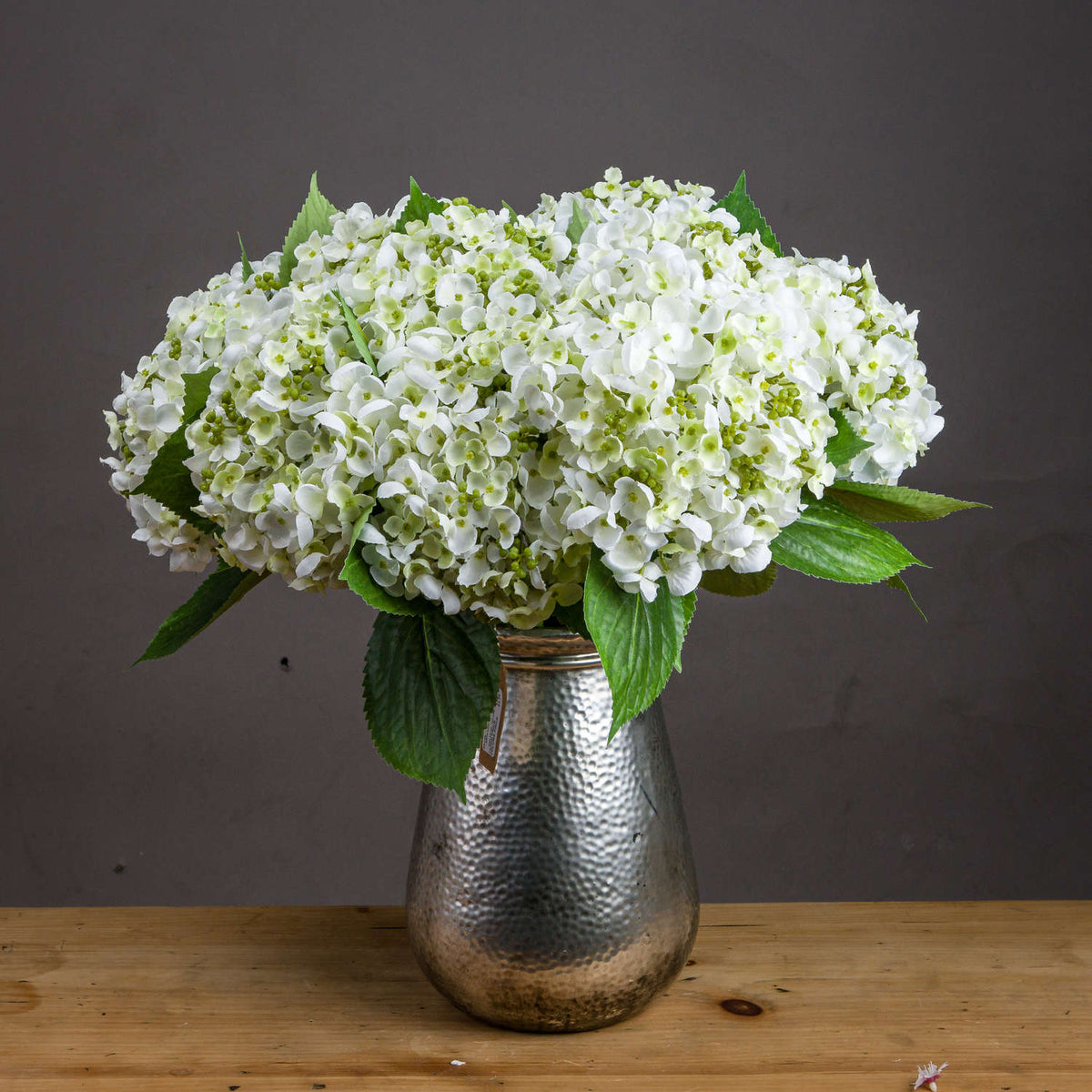 White Lace Cap Hydrangea by Hill Interiors