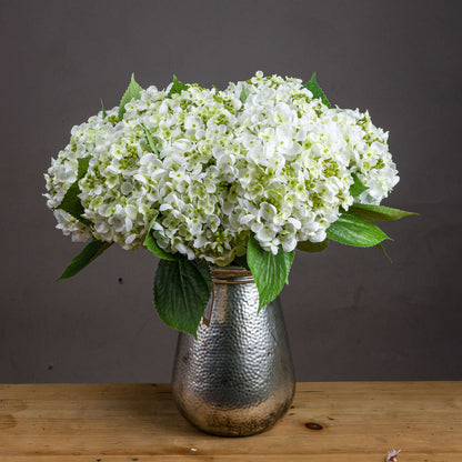 White Lace Cap Hydrangea by Hill Interiors