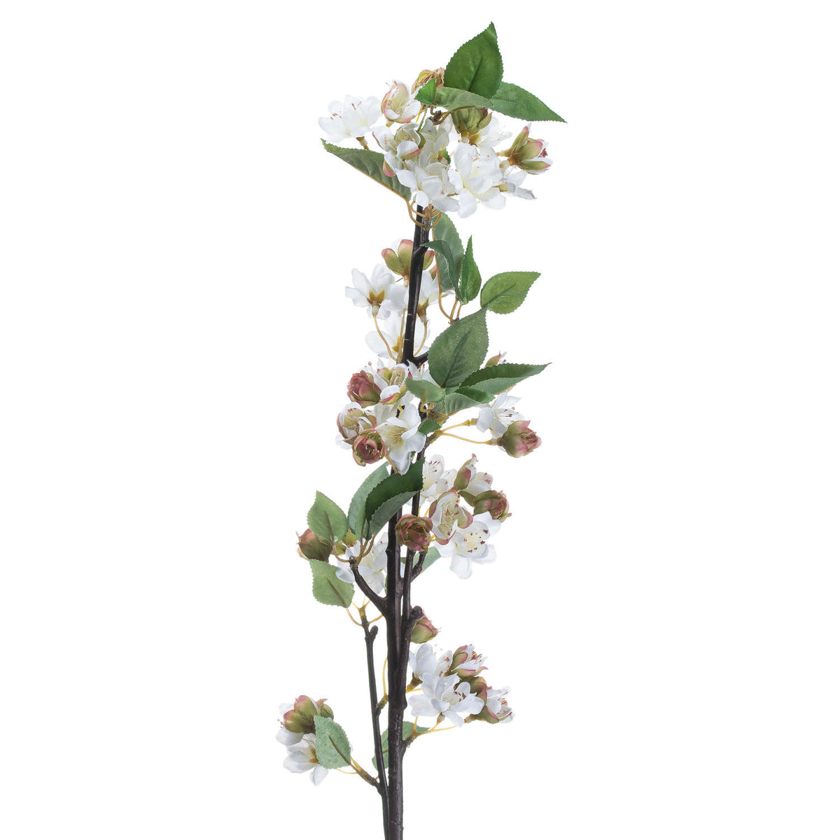 English Blossom Branch by Hill Interiors - image 3