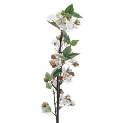 English Blossom Branch by Hill Interiors - image 3