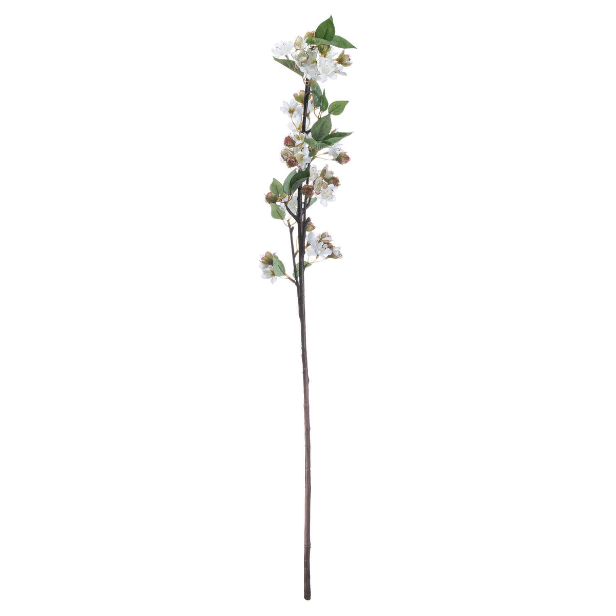 English Blossom Branch by Hill Interiors - image 4