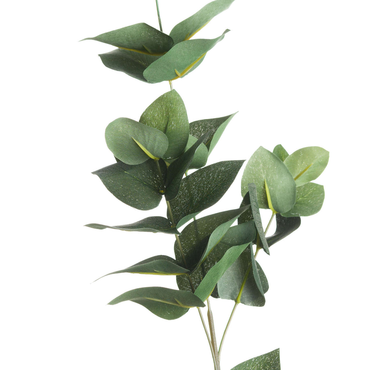 Eucalyptus Filler by Hill Interiors - image 2