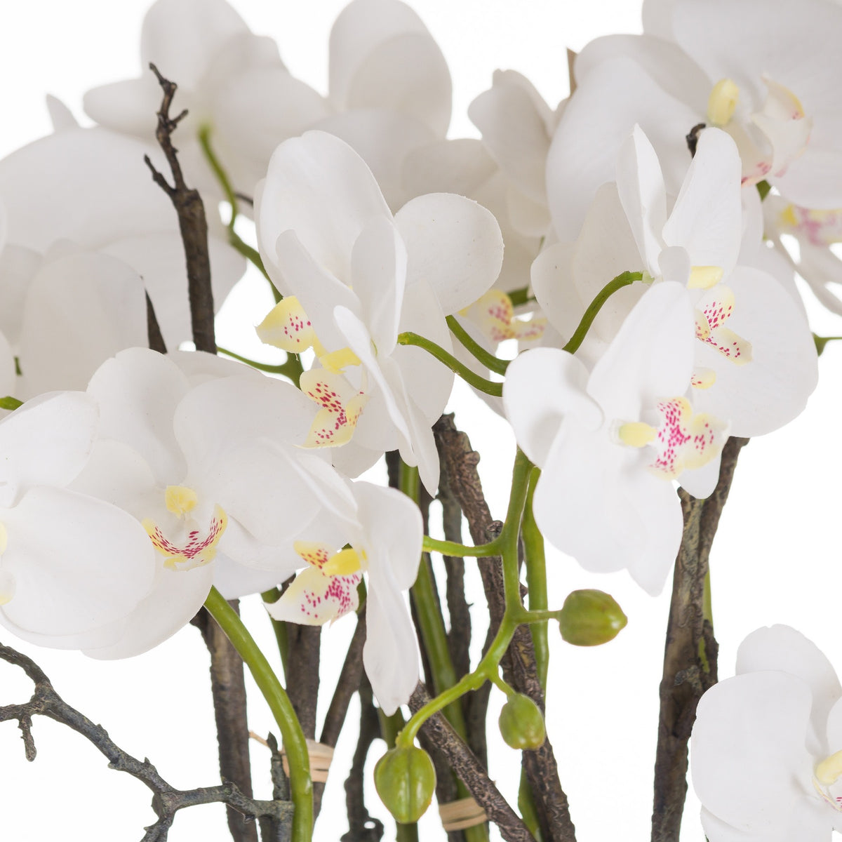 Large Stone Potted Orchid With Roots by Hill Interiors - image 2