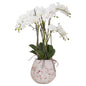 Large Stone Potted Orchid With Roots by Hill Interiors