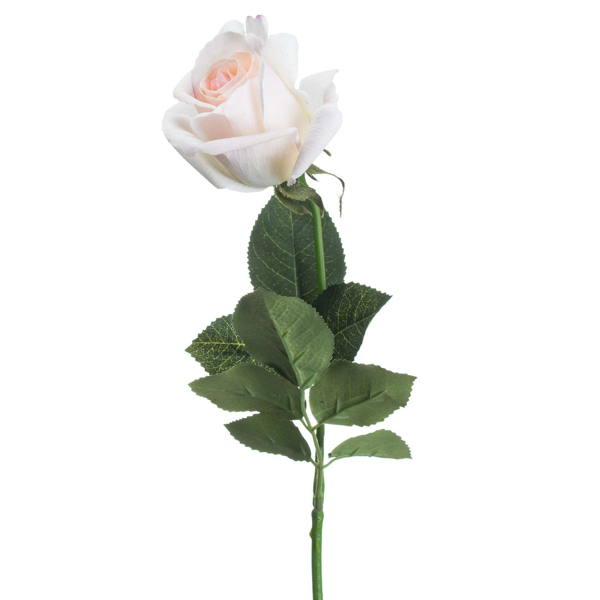 Palest Pink Tea Rose by Hill Interiors - image 3