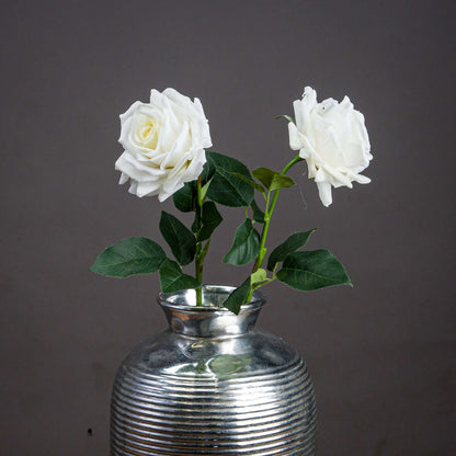 Large White Garden Rose by Hill Interiors