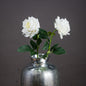 Large White Garden Rose by Hill Interiors
