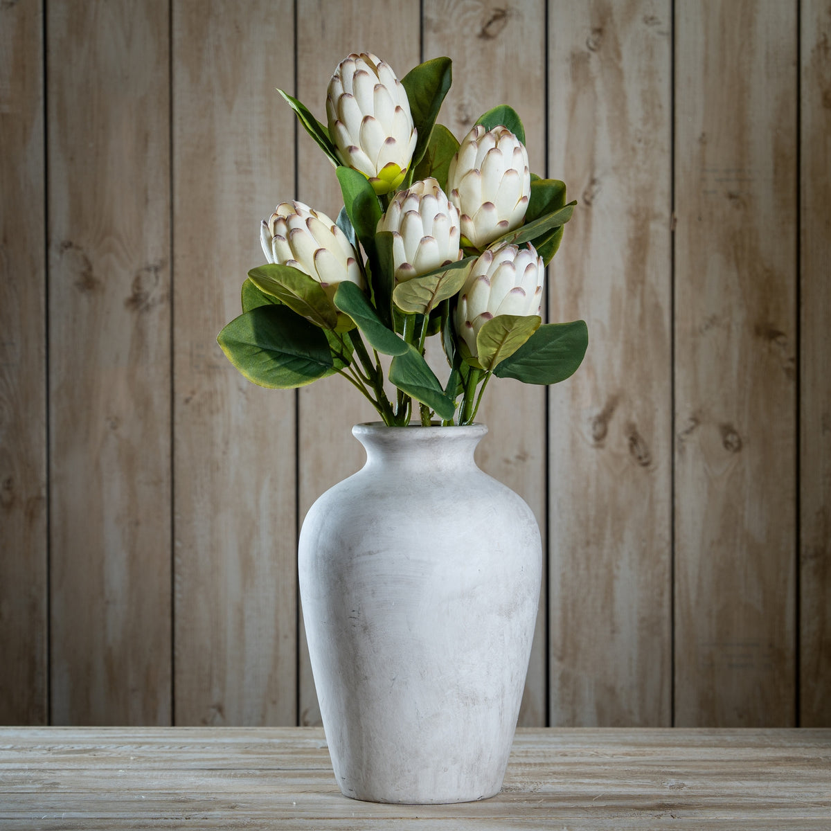 Closed White Protea by Hill Interiors - image 2