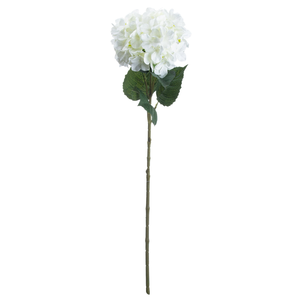 Single White Hydrangea by Hill Interiors - image 3