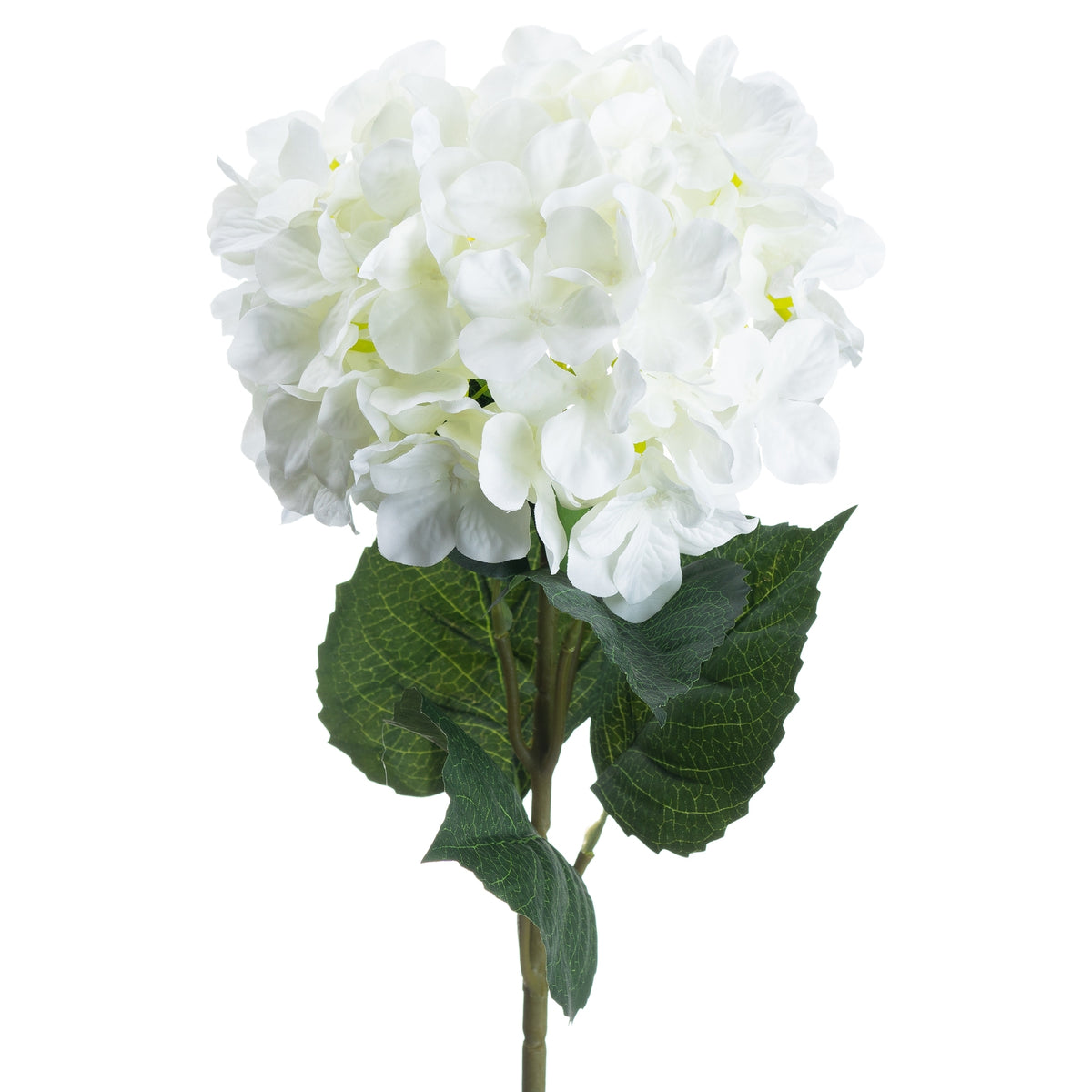 Single White Hydrangea by Hill Interiors - image 4