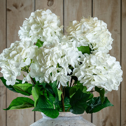 Single White Hydrangea by Hill Interiors