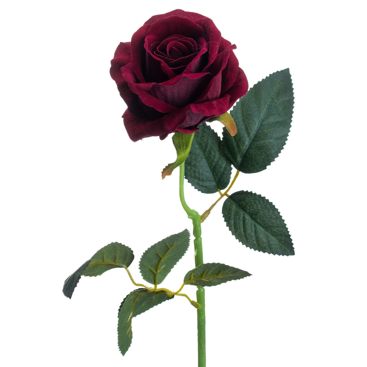 Deep Red Rose by Hill Interiors - image 3