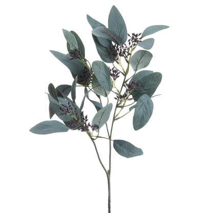 Seeded Eucalyptus Stem by Hill Interiors - image 4