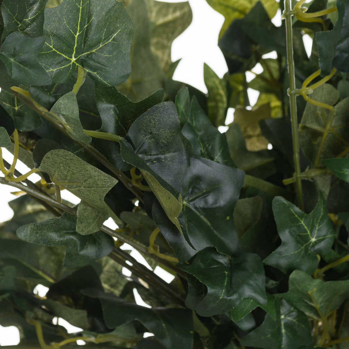 Ivy Pick by Hill Interiors - image 2