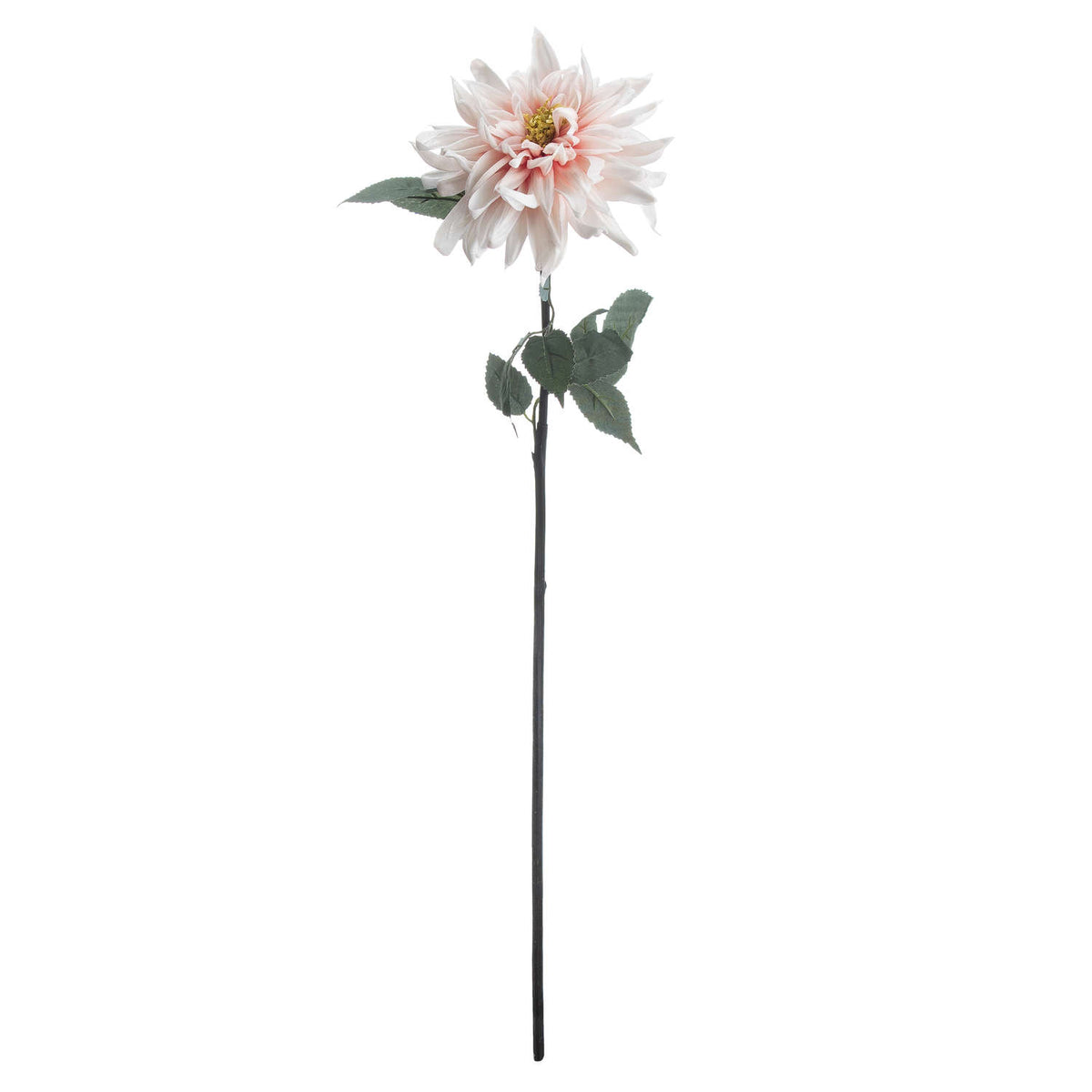 Lush Pink Dahlia by Hill Interiors - image 4